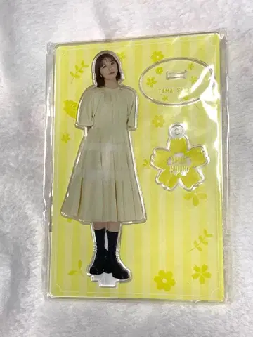 모모쿠로 타마이 시오리 시오링 아크릴 스탠드