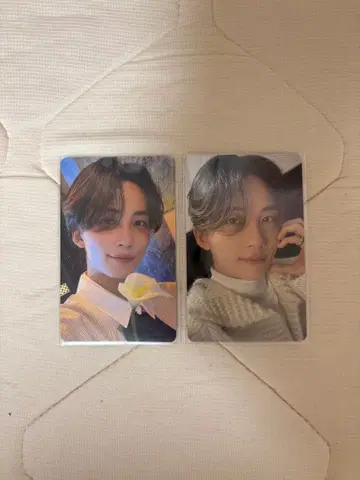 SEVENTEEN DREAM 정한 트레이딩 카드 회장 한정판