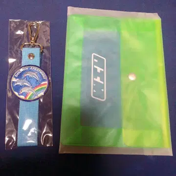 아이묭 돌핀 아파트 Aim Tag Aim Case