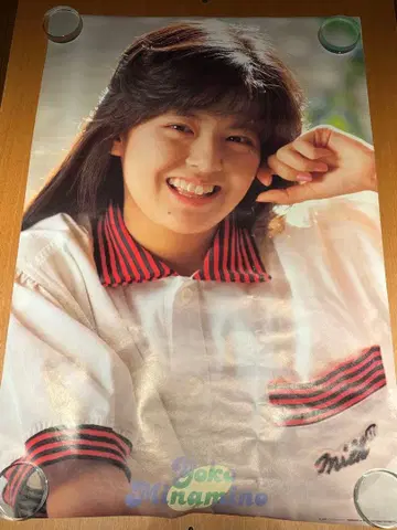 미나미노 요코 공식 포스터