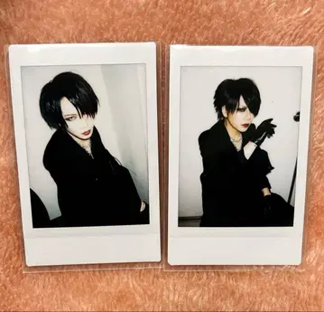 Sadie 마오 폴라로이드 일정 미정