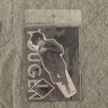 도겐안키 요도가와 마스미 아크릴 스탠드 마즐