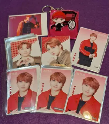 [ 굿즈 ] 유키 군 세트 덤 포함