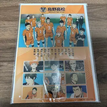 하이큐 추억 패널 카라스노 고교