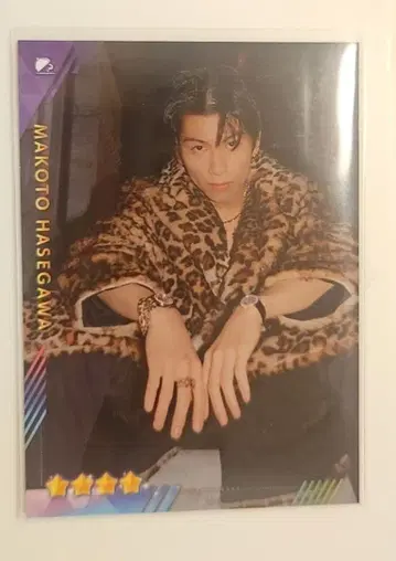 하세가와 신 토라킨 리얼 카드