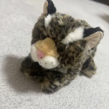 이리오모테삵 봉제 인형