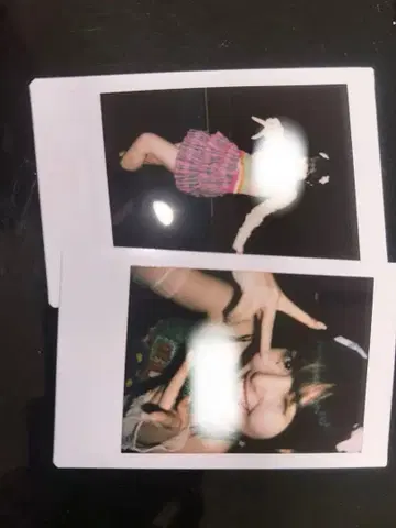 돈치키 사키나 폴라로이드