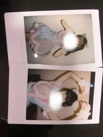 센리츠 카나노 돈치키 사키나 폴라로이드