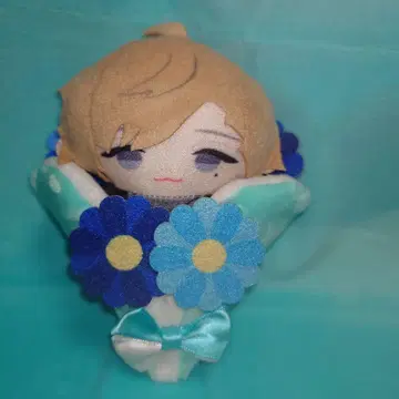 카나에 파페 세트