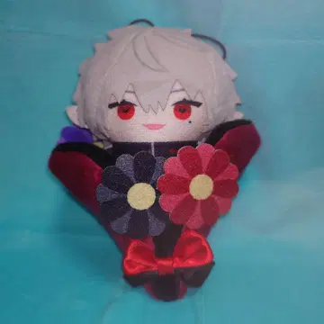 쿠츠하 파페 세트