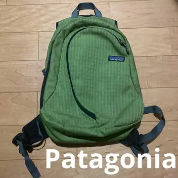 단종 Patagonia 포켓 와이어 팩