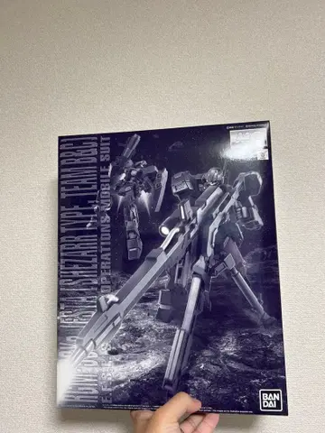 MG 1/100 제스타 (셰자르대 사양 B&C반 장비)