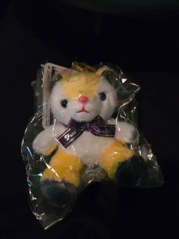 VOLTACTION 니지산지 7th 후라 소토 NIJI 베어