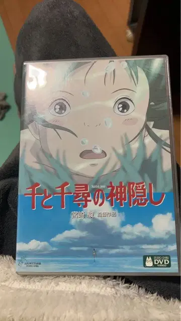 센과 치히로의 행방불명 & 하울의 움직이는 성 DVD 세트