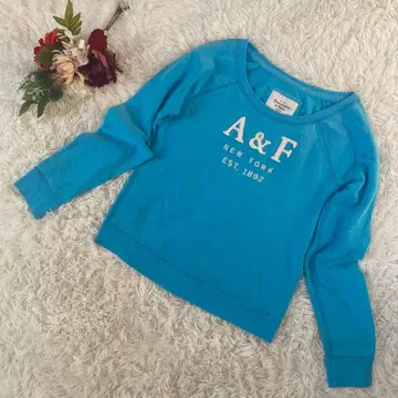 Abercrombie & Fitch 트레이닝복 파랑 긴팔 로고 (M)