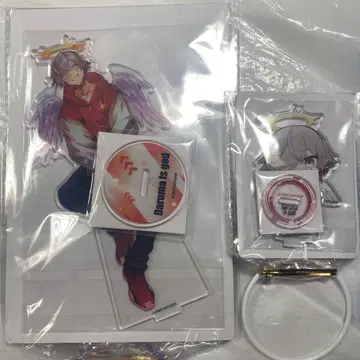 Crazy Raccoon 달마이즈갓 아크릴 스탠드 GIGO 2점