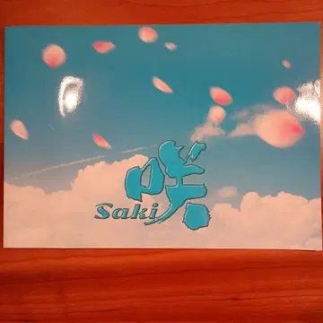 실사 영화 사키 -Saki- 팜플렛 개봉 완료 하마베 미나미