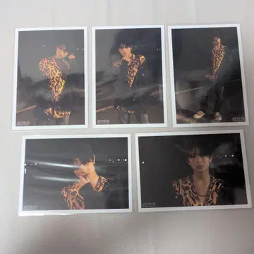 초특급 하루 카시와기 유우 브로마이드