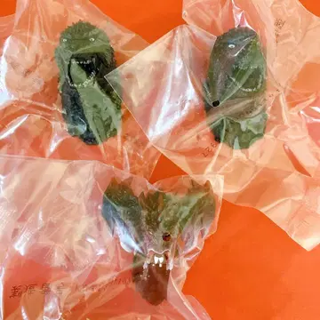 제일복권 고질라 괴수 난무 날뛰는 것 E상 몬스터 헤드 마그넷