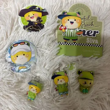 카라피치 시바 씨 6세트