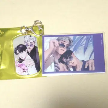 gateau전 2026 아세 와기모코 선생님