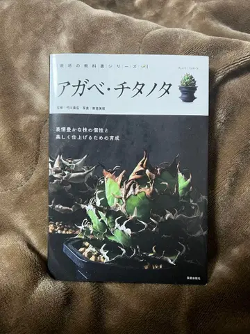 재배의 교과서 시리즈 아가베 티타노타