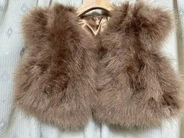 브라운 페더 베스트