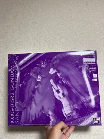 MG 1/100 건담 산드로크 개 EW