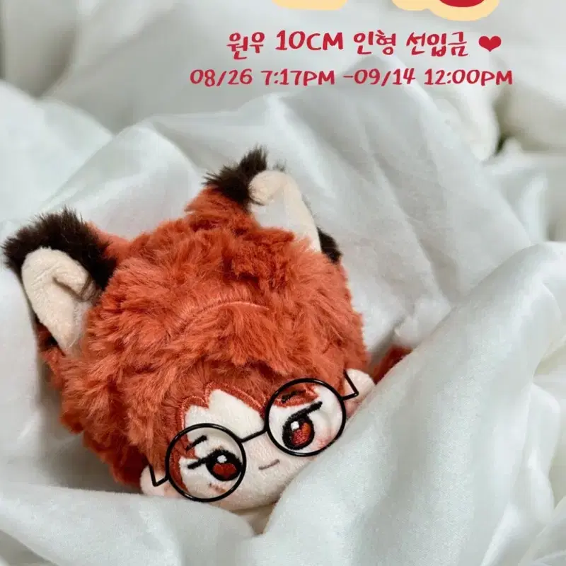 Wonwoong (clothes included) Seventeen wonwoo doll