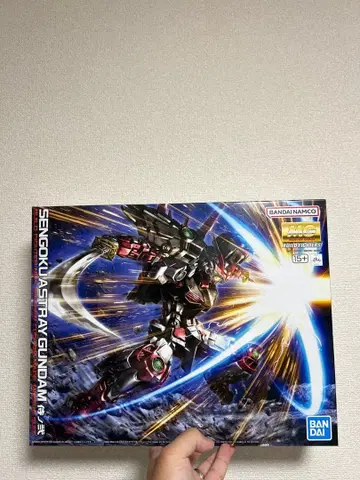 MG 1/100 전국 아스트레이 건담