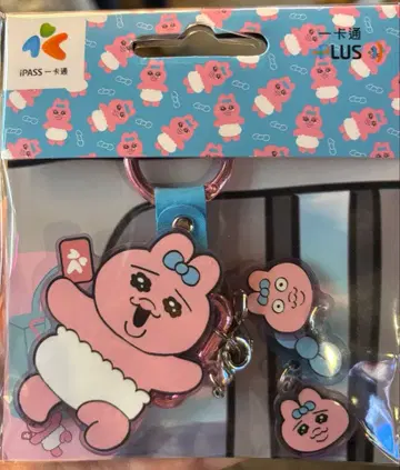 대만 빤쮸토끼 ipass