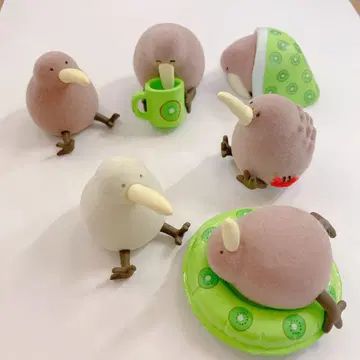 느긋한 키위 6종 세트