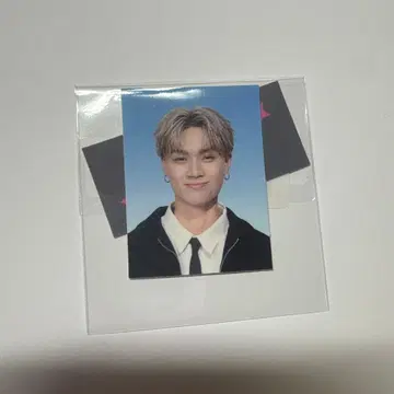 우하라 유히 토라스테 TJBB 증명사진