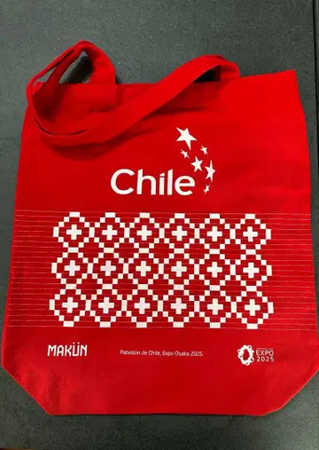 만박 칠레 토트백