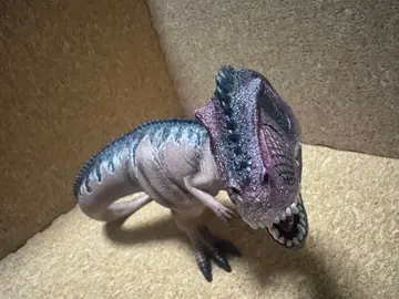 슐라이히 기가노토사우루스 약 25cm