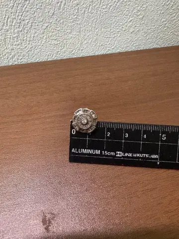 아발란체 귀걸이