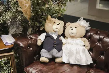 웰컴돌 TED 봉제 인형