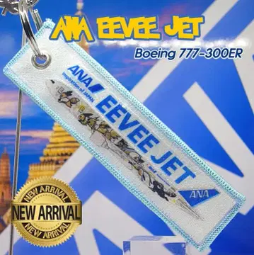 진화의 상징 이브이가 일본 하늘을 달린 ANA EEVEE JET 택 #1