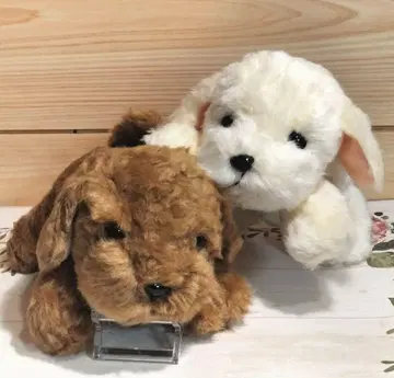 아루마도 골든 리트리버 모미지 어린이 봉제 인형 쿠타쿠타