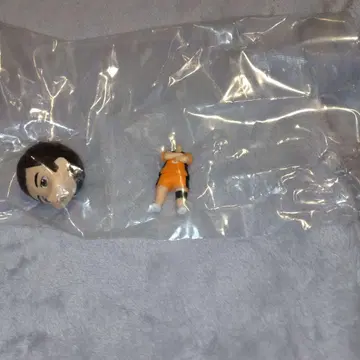 하이큐!! 넨도로이드 서프라이즈