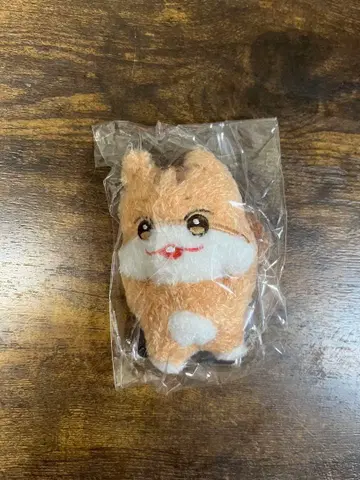 춘라미 봉제 인형 키링 트레이딩 카드 포함 ATEEZ 홍준 새상품