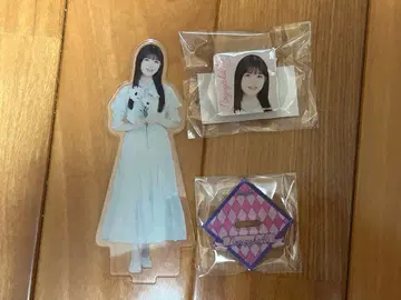 노기자카46 오가와 아야 아크릴 스탠드 봄