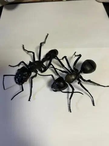 개미와 애벌레 피규어 세트