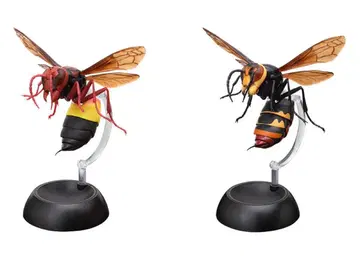 생물대도감 토쿠리바치 츠마구로말벌 츠마아카말벌 가챠