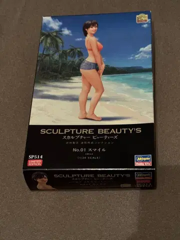 [ 미조립 ] 스컬프처 뷰티즈 스마일