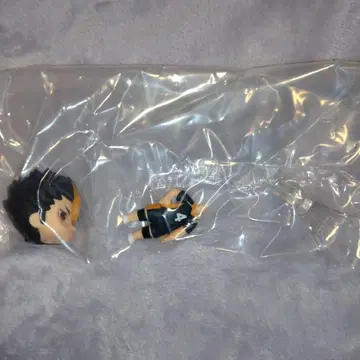 하이큐!! 넨도로이드 서프라이즈