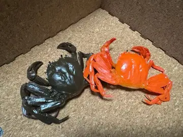 게 피규어 세트 블랙과 오렌지