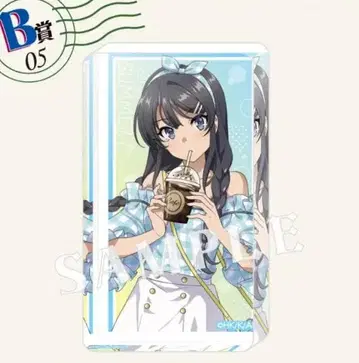 청춘 돼지 녀석 사쿠라지마 마이 복권 B-05 아크릴 블록