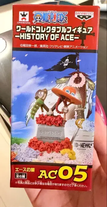 월드 콜렉터블 피규어 AC05 에이스의 묘