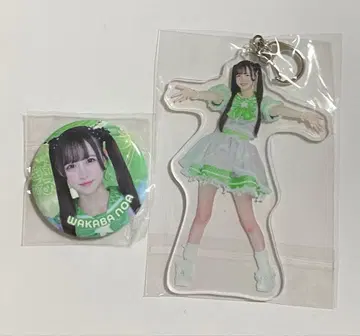 iLiFE! 와카바노아 마쿠하리 가라폰 2세트